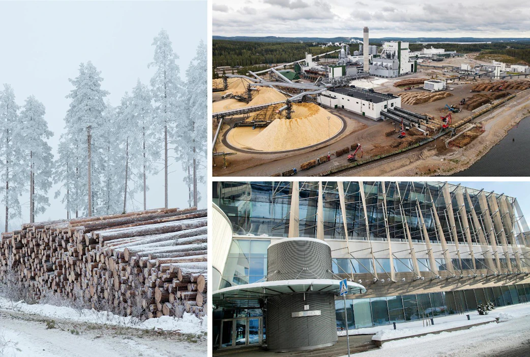 Metsään perustuvat työpaikat ja hyvinvointi keskittyvät usein kauas metsän kasvupaikalta. Epäsuhtaa tasataan hieman yhteisöverotuoton jaossa kunnille, jossa metsäisyys huomioidaan.