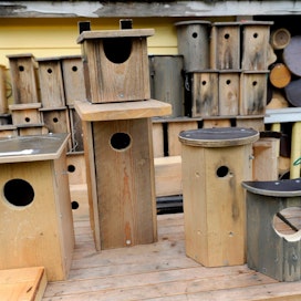 Linnunpönttöjä rakennetaan alakouluissa paitsi kotiinviemisiksi, myös esimerkiksi vanhainkodin asukkaita ilahduttamaan.