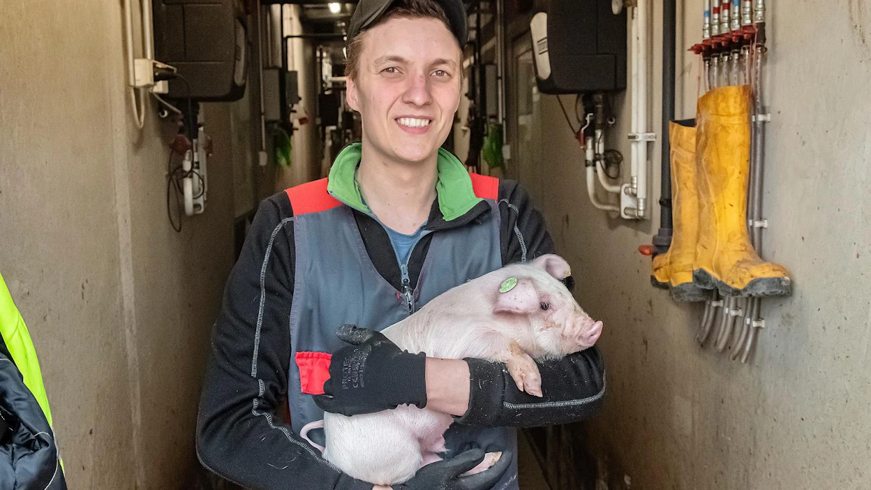 Agrologiopiskelija Konsta Latvala on mukana Latvala Farms -yhtiöissä, joiden johdossa on Konstan isä Vesa Latvala. Latvala Farms tuottaa porsaita ja kasvattaa lihasikoja.