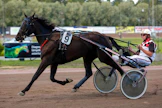 Muhkearaaminen Muckelymimmy on yksi ravivuoden raketeista. Jari Aution ja Katja Luoman tamma on ottanut voittonsa leikitellen. Derby-karsinnassa "Mimmi" jäi pussiin Mascate Matchin kantaan.