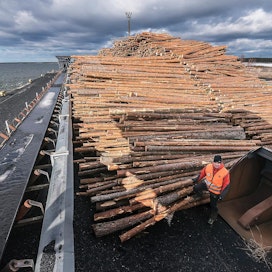 Kuitupuut odottavat Kristiinankaupungin Karhusaaren satamassa ensimmäistä Ruotsin-laivaa. Metsänhoitoyhdistys Österbottenin Jens Helenelund arvioi, että välivarastossa on nyt 4 500 kuutiota havukuitua.