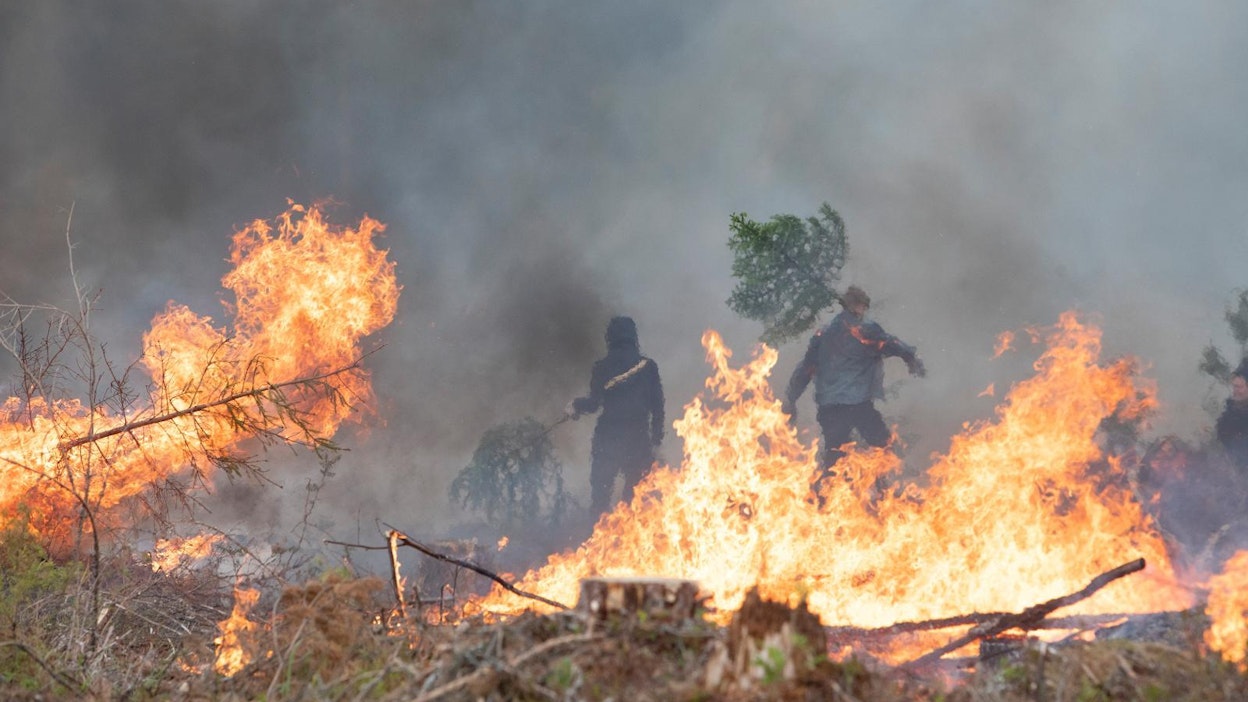 Opiskelijat varmistavat hosien avulla, että tuli ei etene kulotusalueen ulkopuolelle ympäröivään metsään.