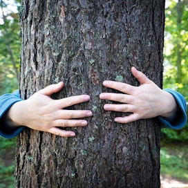 Valtakunnallisen puunhalausviikon järjestävät Viherympäristöliitto, Maa- ja kotitalousnaiset ja Luonnonvarakeskus.
