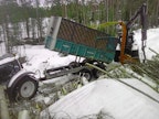 Puolet hakettavasta puusta ostetaan tien varteen toimitettuna. Itse tehty puu kerätään oksineen kaikkineen, mutta metsänomistajien tekemät pinot ovat pääsääntöisesti karsittua rankaa.