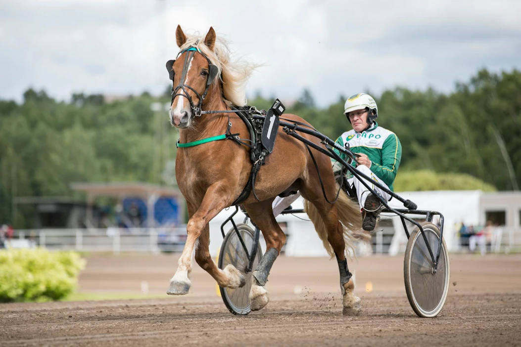 Kuvassa Turelius Eero Laitisen ajamana. Mikkelissä ohjissa on Risto Tupamäki.