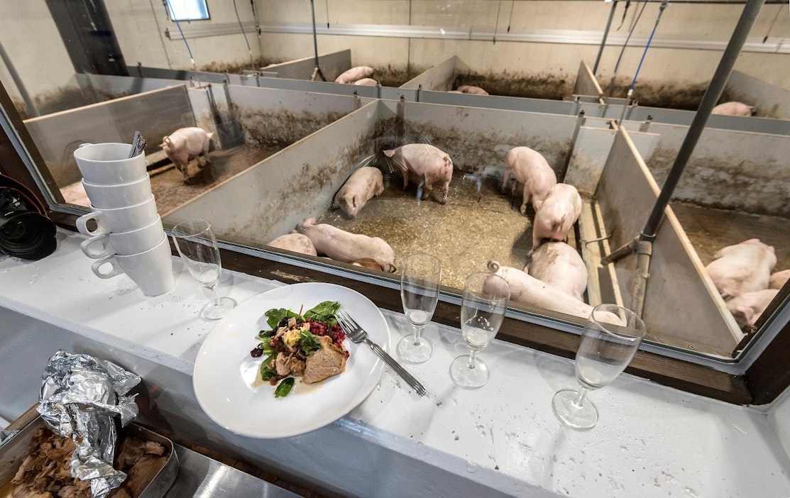 Naudan- ja sianlihan tuottajahinnat nousivat kuudetta vuotta peräkkäin.