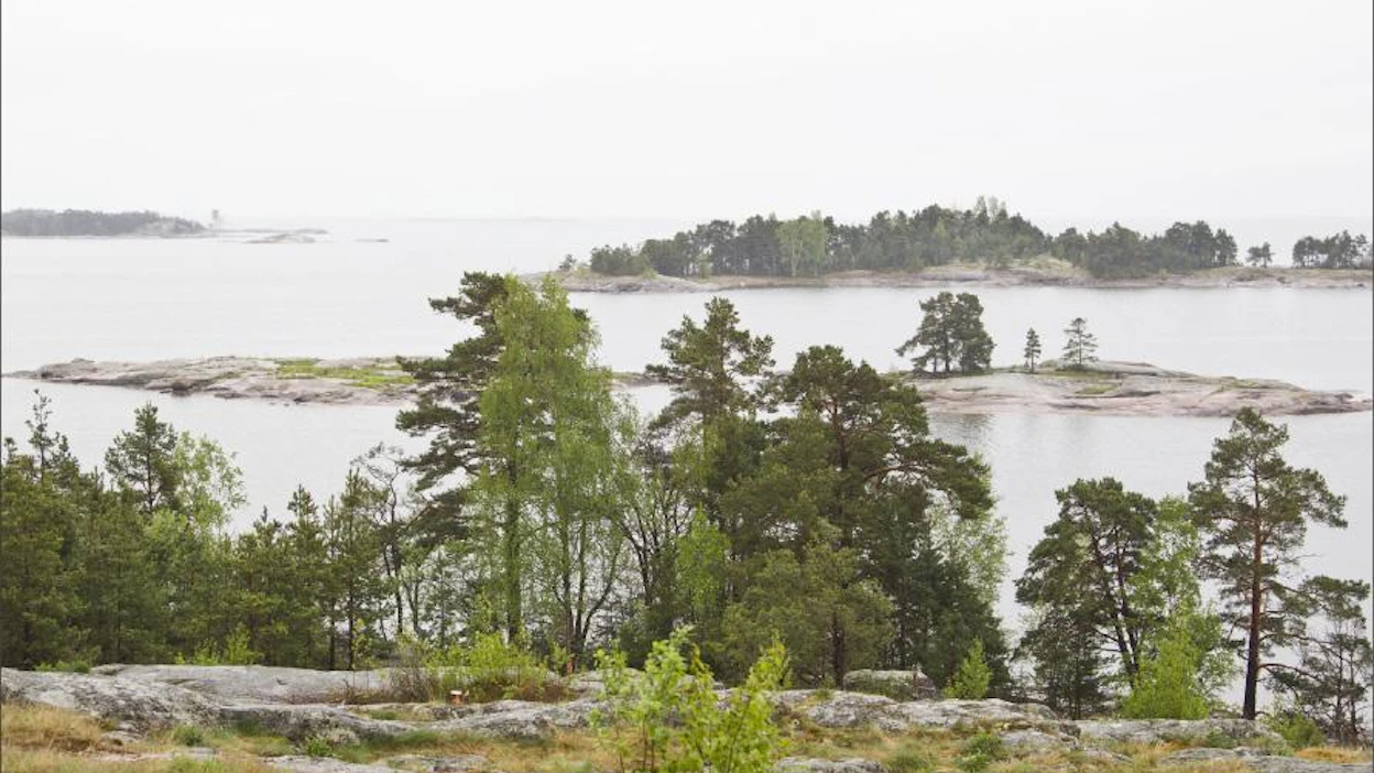 Verottaja voi luokitella myös hakkuukiellossa olevan metsäisen saaren kiinteistöksi ja verottaa sitä sen mukaan. markku vuorikari