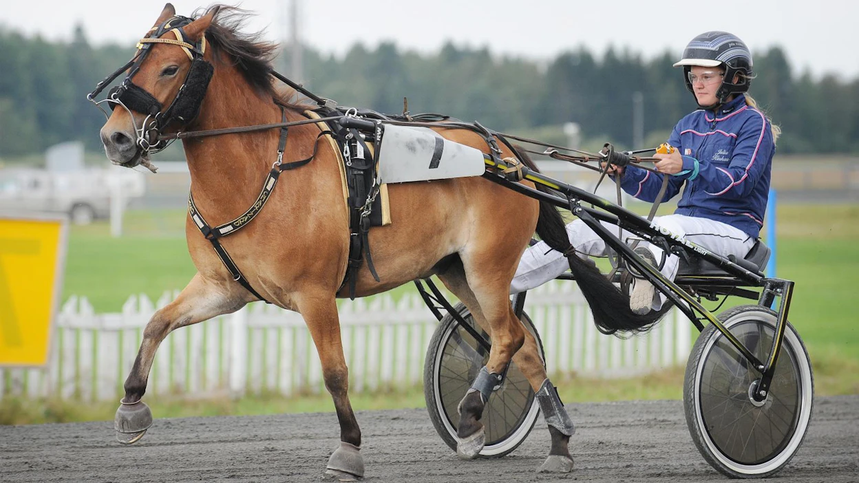 Julia Kiukas Charizardin ohjissa Ylivieskassa viime elokuussa. Hän on ajanut poneilla 300 lähtöä, joista sijoittumiseen kolmen parhaan joukkoon on päättynyt kaksi kolmasosaa.
