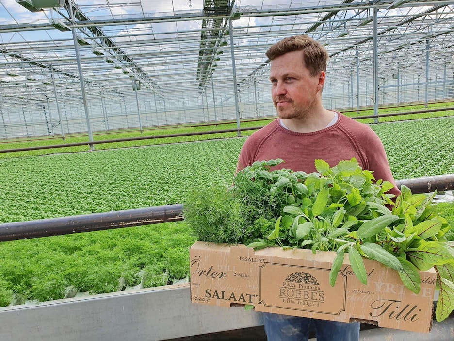Kasvihuoneviljely Suomessa on kehittynyttä. "Huippusatotasojen kautta ollaan näyttämässä, että kasvihuone on järkevin ja energiatehokkain. Avomaaviljelyssä ollaan säiden armoilla", sanoo Robert Jordas.