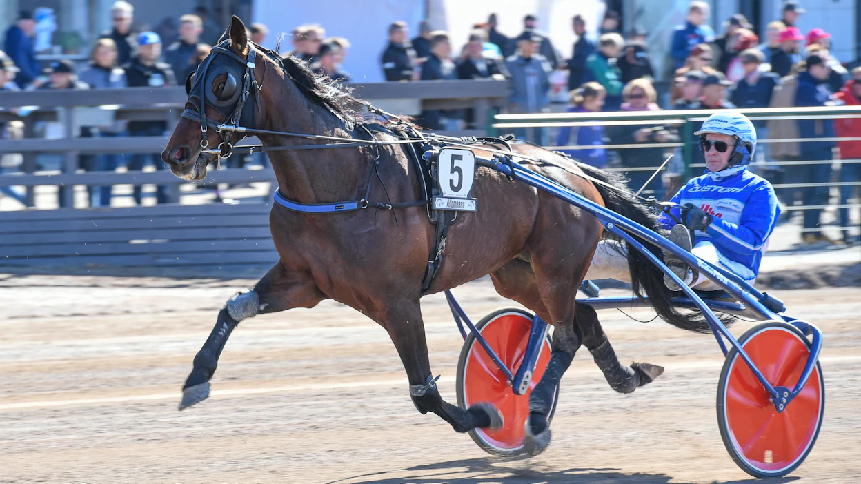 Kuvassa Jorma Kontion ohjastama Bond Eagle on voittanut uransa 47 startista 22 kappaletta.