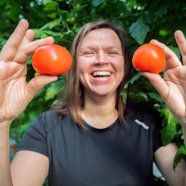 Elina Salminen esittelee ylpeänä tuoreita luonnonvalossa kypsyneitä tomaatteja.