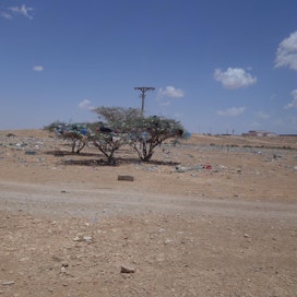 Köyhimmät kehitysmaat tarvitsevat eniten tukea ilmastonmuutoksen hillintään ja sopeutumiseen sään ääri-ilmiöihin. Kuva on kuivuudesta kärsivästä Somaliasta.