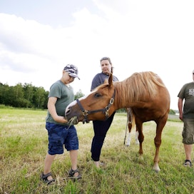 Marjo Konttinen ja Ilkka Vesteri veivät Onni-poikansa kanssa Fiina Fee -hevosen maanantaina jaloittelemaan ja aterioimaan heinäpellolle.