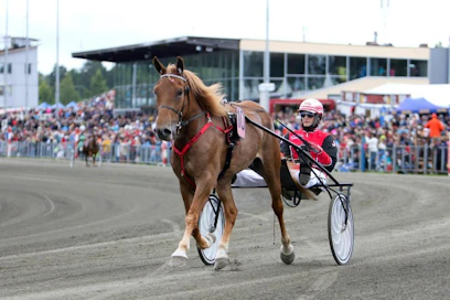 Ravit kiinnostavat monia suomalaisia. Kuvassa tamma Suhhaus ohjaksissaan Jere Kiveinen.