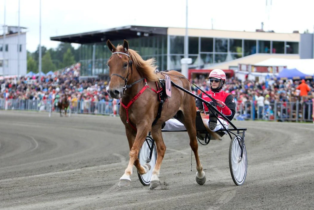Ravit kiinnostavat monia suomalaisia. Kuvassa tamma Suhhaus ohjaksissaan Jere Kiveinen.
