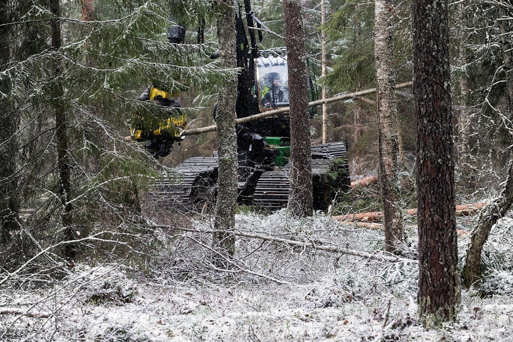 Suometsien hakkuut lisääntyvät lähivuosina.