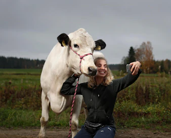 Lapinlehmä Nuorgam on yleisön suosikki Keisalan tilan Maalaisjärki-somekanavilla, joita pitää yllä Anna Länsisalmi-Keisala.