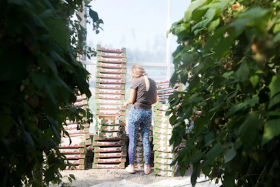 Varsinkin monet puutarhat ovat riippuvaisia ulkomaisesta työvoimasta.
