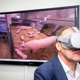 VR-videot tuottaneen Genisysin toimitusjohtaja Kimmo Strang tutkii sikatilaa. Ruudulla näkyy, mitä Strang näkee. VR tulee sanoista virtual reality (keinotodellisuus). Katsoja voi päätä kääntämällä katsella ympärilleen kuten tosielämässäkin.