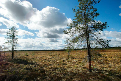 Suojelluilta soilta ei saa nostaa turvetta. Siksipä niitä ei myöskään lasketa käytettävissä olevaan turvevarantoon.