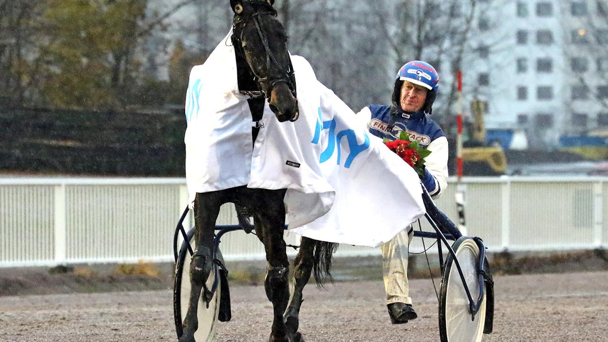 Kovien tammojenkin erikoismies Pekka Korvella on uusi suurkilpailuvoittaja, Derbyn Tammachampion 2017 Free Me. Lupaus on kääntänyt epäonnen taas voitoksi.