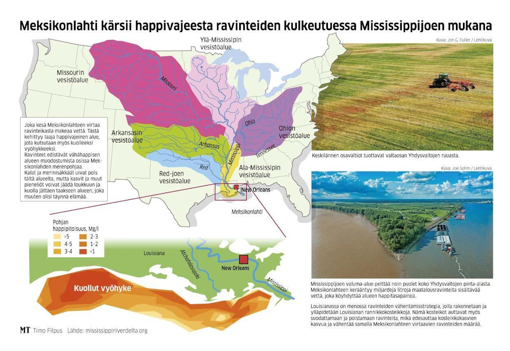 Joen 3,1 miljoonan neliökilometrin valuma-alueelta keräämät ravinteet ajautuvat joen suiston jälkeen mereen ja aiheuttavat valtavan kuolleen alueen.