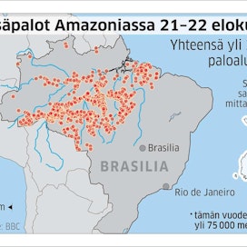 Brasilian avaruustutkimusinstituutin (Inpe) mukaan tammikuun alun ja elokuun 22. päivän välillä on syttynyt lähes 77 000 tulipaloa, joista yli puolet elokuussa.