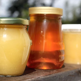 Keskimäärin suomalaiset mehiläiset tuottavat kaksi miljoonaa kiloa hunajaa vuodessa. Tänä vuonna joudutaan tyytymään yhteen miljoonaan kiloon.