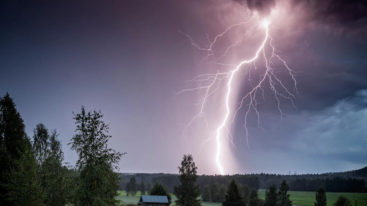 Metsämuseo Lustoon torstaina avautuva Myrskyasema-näyttely kuvastaa luonnon mahtavaa voimaa.