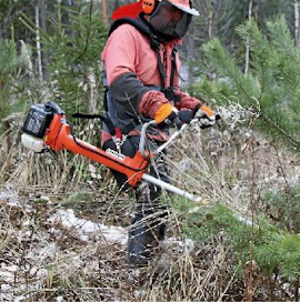 Hitachin työskentelyasento taimikossa rasittaa hartioita. Käsien asento on epäluonteva.