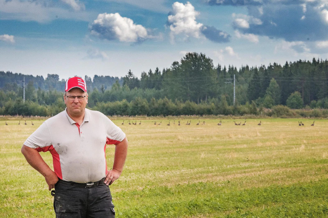 Kiteeläinen Pekka Partanen tietää valkoposkihanhien syysmuuton alkavan kohta, taustalla kanadanhanhia.