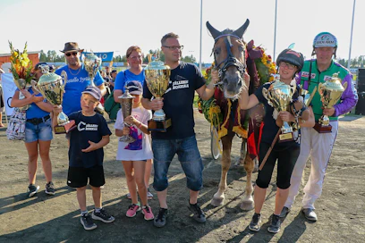 Costellon jengiä Rovaniemen voiton hetkellä. Oikealla entinen ohjastaja ja uuden ohjastajan isä Risto Tupamäki. Hänen vasemmalla puolellaan ravikuninkaan nykyinen valmentaja Tia Malinen. Vasemmalla puolella Ville Herttua, joka on tällä hetkellä kilpailukiellossa, sekä perheen lapset Tommi ja Hanna.