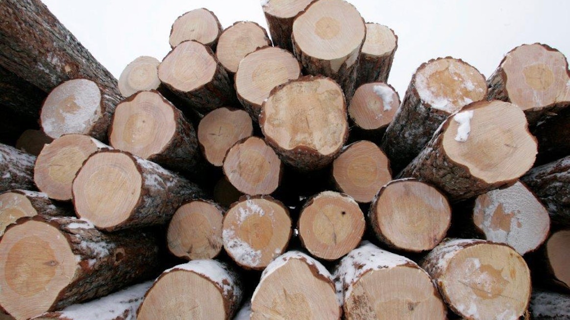Isot metsäyhtiöt haluavat mitata hankintahakkaajienkin puuerät koneellisesti: joko puutavara-auton kuormainvaa&apos;alla tai tehdasmitalla.