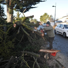 Lounais-Ranskassa myrsky on kaatanut puita. Lehtikuva/AFP