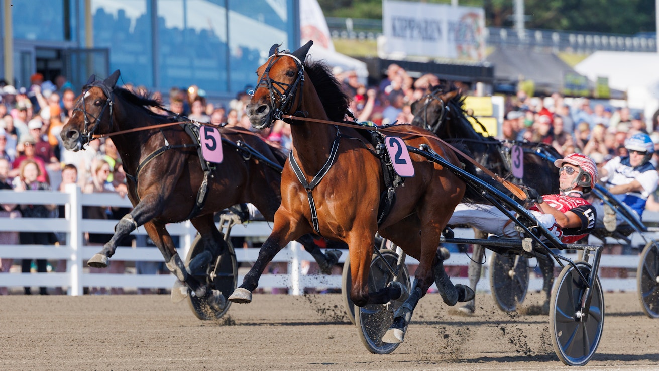 Callela Nelson (2) ja Massimo Hoist (5) ovat kaikkien raviurheilua seuraavien suomalaisten huulilla. Jukka Hakkaraisen tallin uusin tulokas on toistaiseksi mystisempi tapaus.