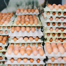Tänään perjantaina vietetään kansainvälistä kananmunapäivää.