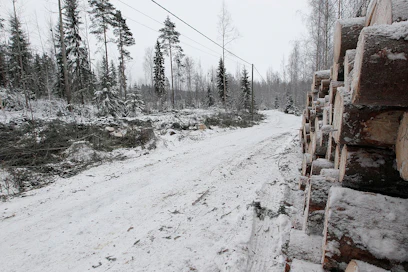 Viime vuoden puukauppa vilkastui tukin vetämänä kaksi prosenttia edellisvuodesta.