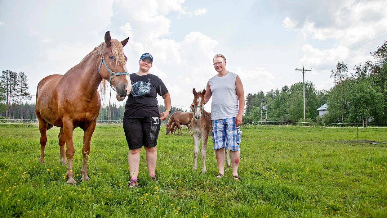 Tiina Levanderilla ja Seppo Jussilalla on riittänyt tilalla rakennusurakkaa. alkukesällä odotti vuoroaan varsapihaton teko. Kuvassa seurana tamma Lipsahti ja sen orivarsa Nevan Vapaus Siporista.