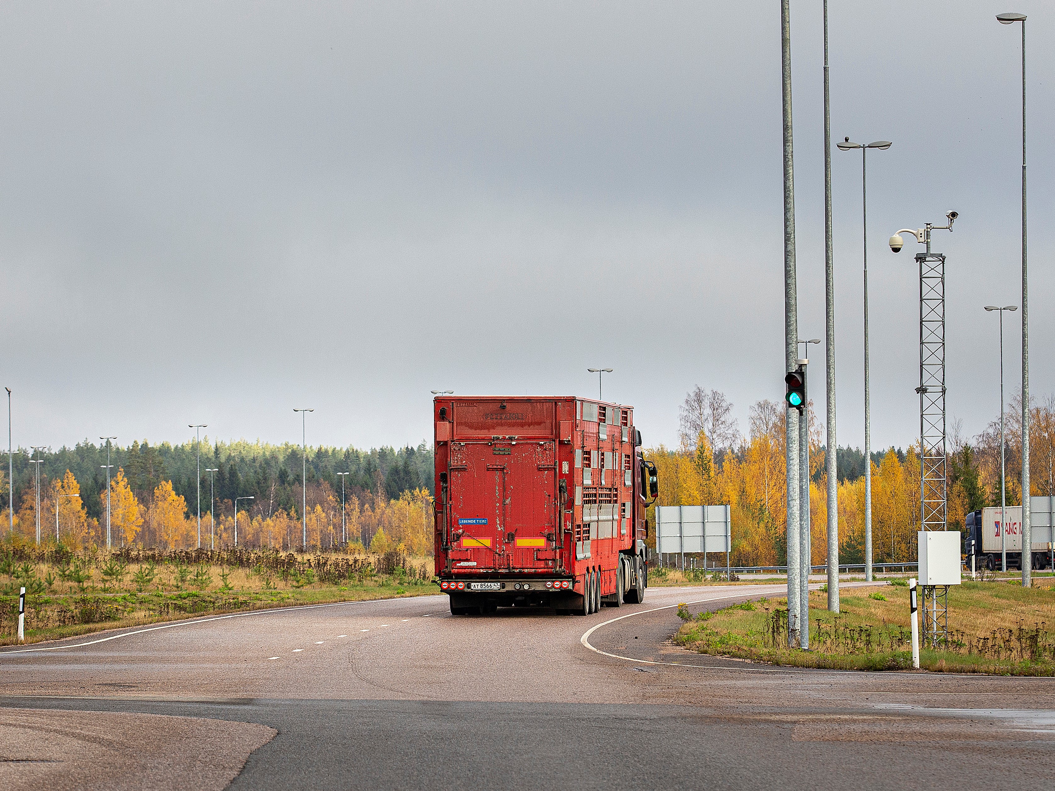 Vuonna 2019 Suomesta vietiin nautoja vielä Venäjälle. Kuva Vaalimaan raja-asemalta. 
