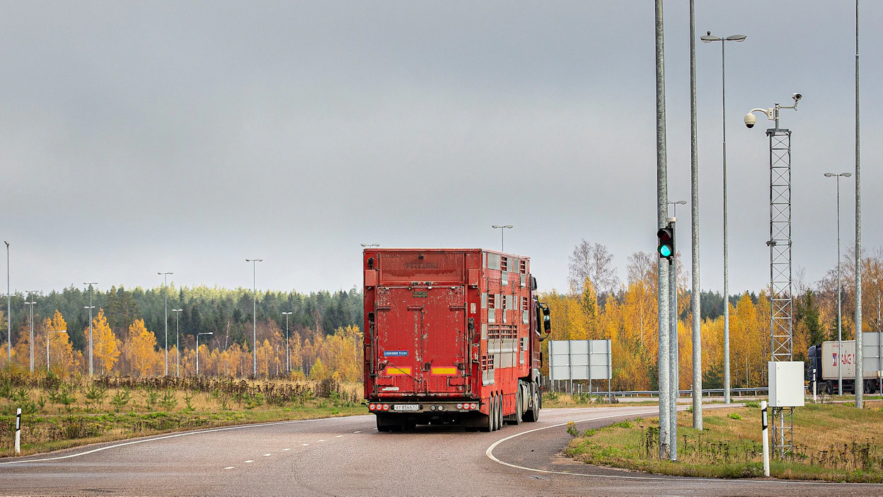 Vuonna 2019 Suomesta vietiin nautoja vielä Venäjälle. Kuva Vaalimaan raja-asemalta.