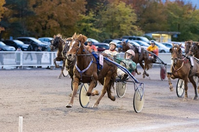 Kotimaassa ajettavat ravit järjestetään jatkossakin suunnitellusti, mutta hallituksen linjausten mukaisesti toistaiseksi ilman yleisöä.