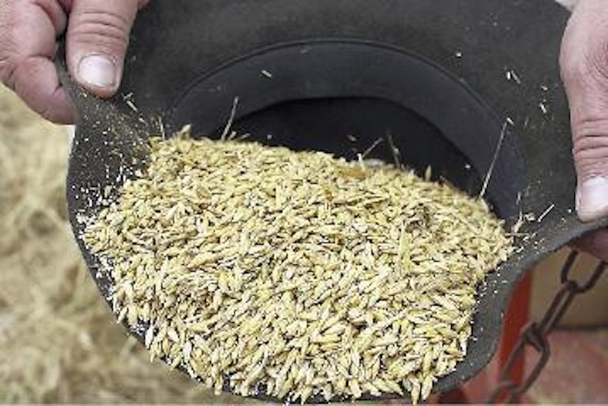 Säädöt tehtiin tarkalleen ohjekirjan mukaan, eikä niihin puinnin aikana kajottu. Koehatullisen perusteella puhallusta olisi saanut olla hieman enemmän, mutta paljon rivompaakin jälkeä on nähty ja huomattavasti uudempien puimureiden jäljiltä.