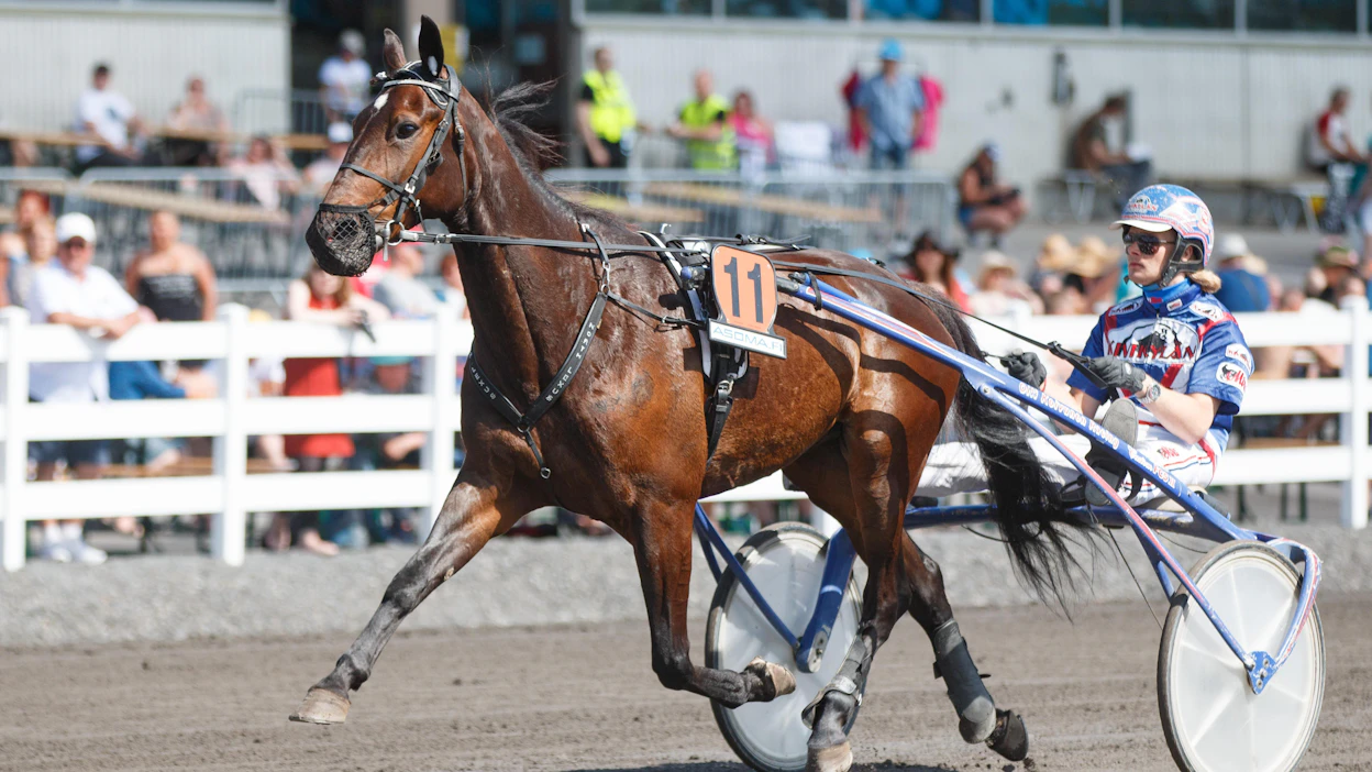 North Lexus johtaa tallikaveriaan Juicemania kaksikon viidestä viimeisestä kohtaamisesta voitoin 3-2. Duo iskee tänään taas yhteen.