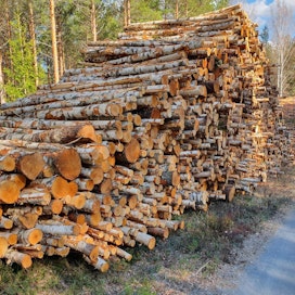 Metsänhoitoyhdistys Lounametsän entinen toimihenkilö arvostelee yhdistyksen toimintaa joissakin valtakirjalla tehdyissä puukaupoissa.