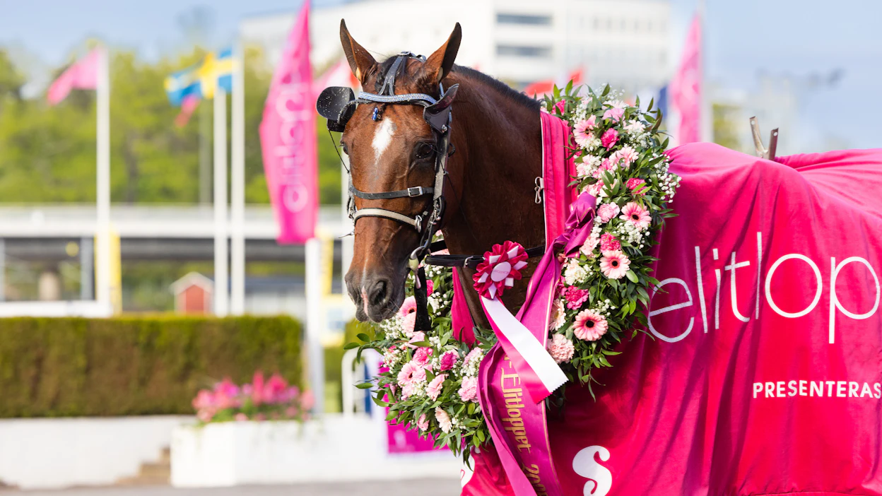 Go On Boy voitti viime vuonna Elitloppetin. Prix d’Ameriquessa se sijoittui kolmanneksi. Suosikkien poisjäännit ovat nostaneet Romain Derieuxin silmäterän sunnuntain suurkisan suosikiksi.