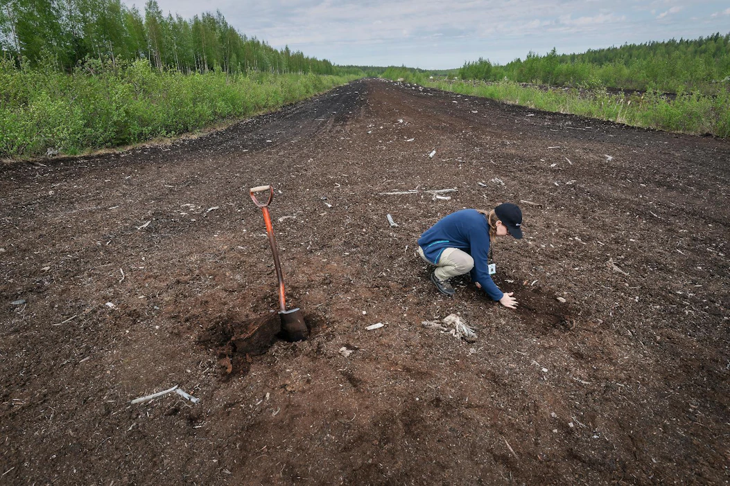 Metsitystuen piiriin soveltuvia alueista noin 9 000 hehtaaria on turvetuotannosta pois jääneitä alueita. Arkistokuva on Kauhavan Kortesjärveltä.