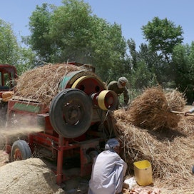 Afganistanin maatalous on tehoton hyviäkin vuosina. Toinen peräkkäinen kuiva kesä on kutistanut vehnäsatoa entuudestaan.