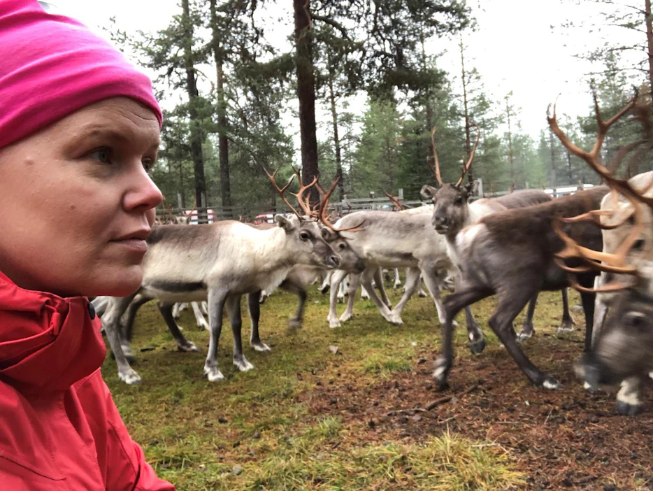 Rovaniemellä asuva Susanna-Sofia Keskinarkaus auttaa ystäviään toisinaan porotöissä.