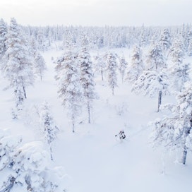 Hannu Huttu kulki metsästäjä Juha Möttösen matkassa tammikuussa Ruotsissa.