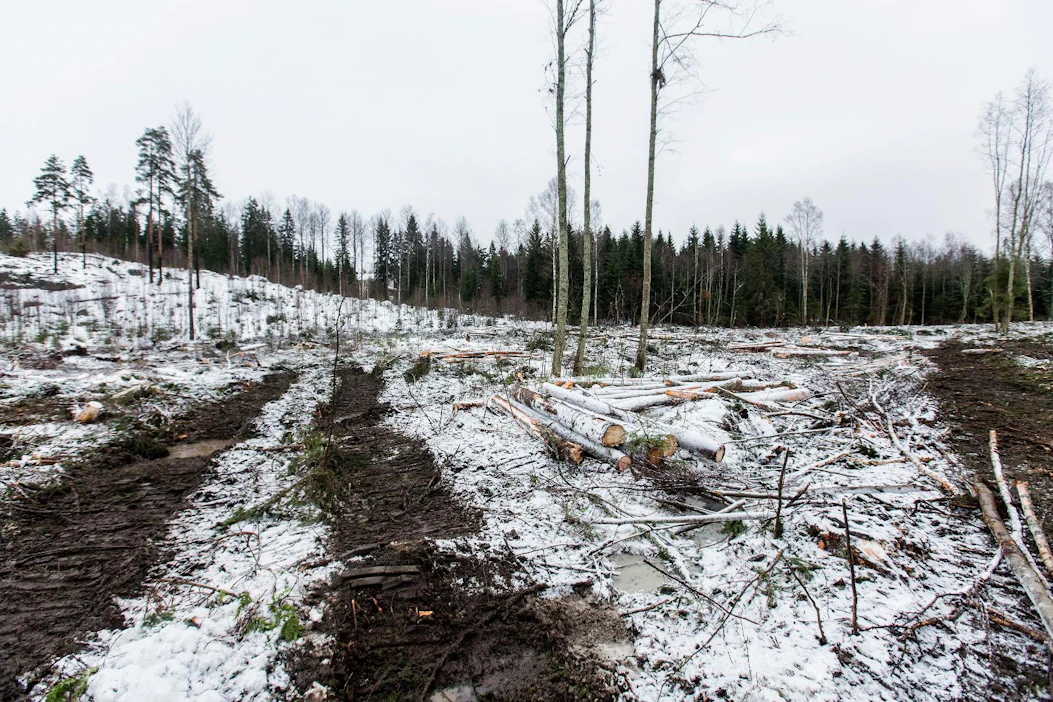 Yksityismetsien päätehakkuut jäävät keskimäärin vähän reiluun hehtaariin Etelä-Suomessa.